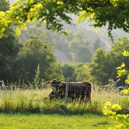 Les Gonies - Cypres Bed & Breakfast 3*